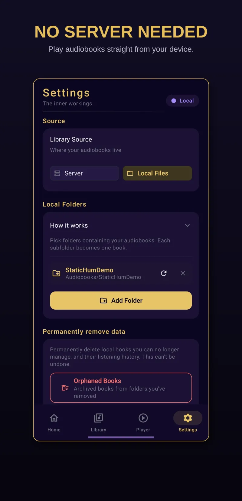 Nine Lives Audio local library screen built from a folder of audio files on the device, showing cover art and chapters